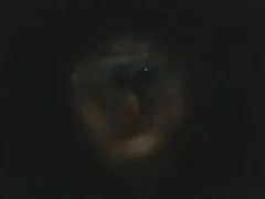 목욕 큰 가슴이 이웃집