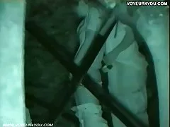 실시 성적 흥분 커플