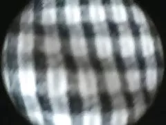 일본 대중목욕탕을 큰백