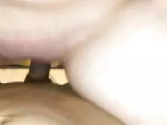 네덜란드 금발의타기와 같이 흡입하므로 나의 브라운 꼬입니다.