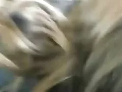 러시아 하이틴 레스토랑