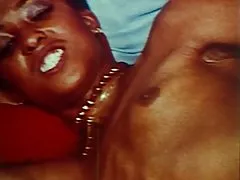 빈티지 늙은 섹