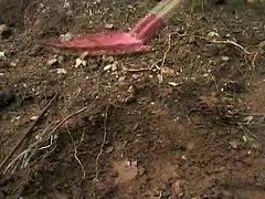 이탈리아 32jk1690