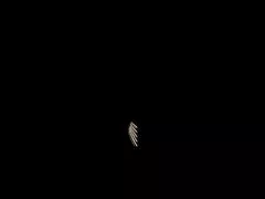 내 생일 선물-19 년 오래 된 소년!