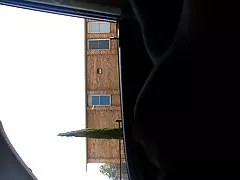 그녀는 두 번 보이는 수 탉 플래시