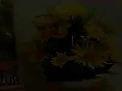 만일 당신이 정말 하고 싶 면 pubic hair...