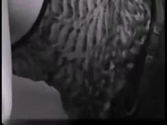 뚱보 케빈의 살빼기 작전/chubby daddy with Jacuzzi 섹 아름다운 여자