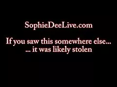 Sophie 크라운 리젠시 호텔 앤드 타워 및 오스틴-버그스트롬 Taylor 점유율에 큰 아시아 시기!