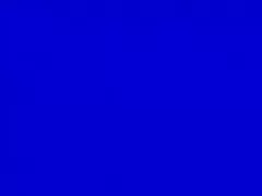 아마추어 일본 속박