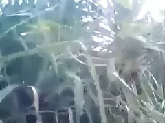 I 볼 수 있습니다! :)