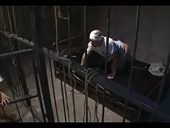 아시아 하이틴 좋아하는 것 하드 성