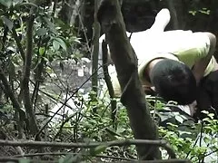 로서 숲 속에서 지켜주