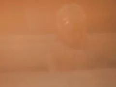 스파르타 쿠 스: 로마 난 교