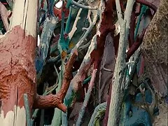 순 영 스튜어트-야생으로