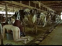 재미있는 일본 scene