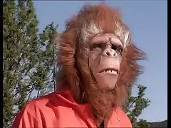 아시아 carerra 에 지구는 포르노 원숭이