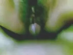 Nepali couple 니스 지독