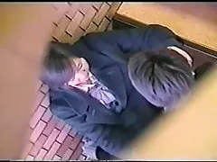 귀 아시아 chick 펠