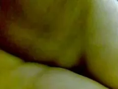 바탕가스 주 curiosity