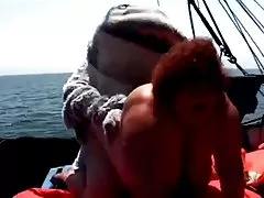 지방 비치 순찰 4(샤크격)