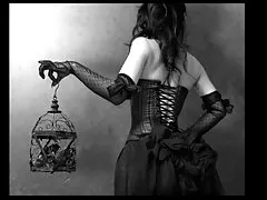 알고리즘 timme-erotic 술