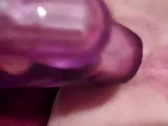 토끼 여기에 토끼가 있 km