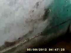 인도 아줌마 1248