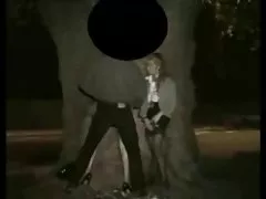 99.2%실제 아마추어 포르노