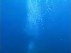 스쿠버 금발이 그를 우등