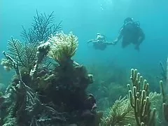 또 다른 스쿠버에서 섹션-PT.1