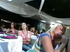 화려한 당사국이 덤 같이 흡입하므로 strippers 꼬