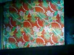 Desi 부부 망에서 친구 집에 숨겨진 유출