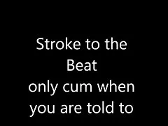 비트 2 도전 멍 청이