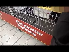 나의 schwanz raushaengen 슨 메신저 aldi und 다 전쟁 하십시오