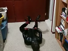 고양이 속박 hogtie 자체