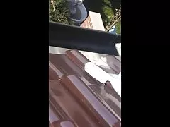 Spying on 뜨거운 나의 할머니 이웃을