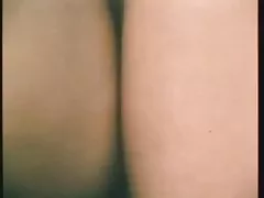 와일드 lusten 1984 죽을