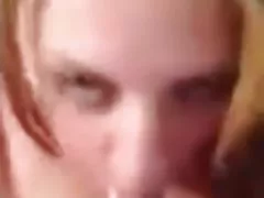 해러게이트 새 dog