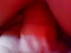 Templation/2 부 불가리아