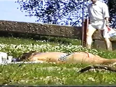 bisonbaai 네덜란드