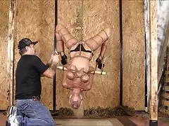 이동 빅 또는 홈