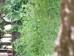 스리랑카플 야외 국회의사당 footpaths