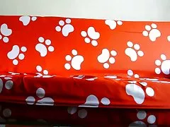 아시아 아마추어