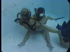 2 호스 fuck 시설에서 제공하는 서비스/시설 1of3