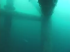 깊은 스쿠버 Threesome-part1