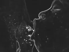 엉성한 머리 마음의 영향 편집