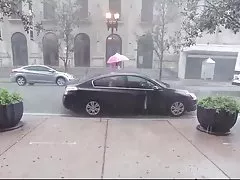 Grab oinker 및 boink 그녀