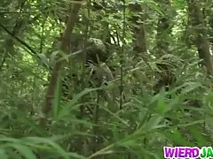 아시아에서슴 속박션