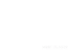 콩과 사랑 속박 비디오