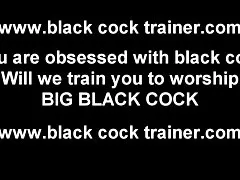 프로 처럼 검은 수 탉을 빨 아 하는 방법을 가르칠 것입니다.